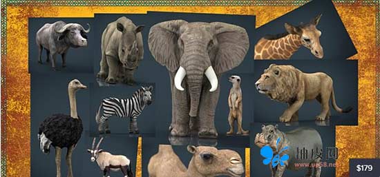 非洲野生动物3D模型 Cubebrush – Wild Africa Pack (MAX/FBX/MB/OBJ格式)