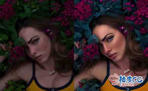 Photoshop专业修饰照片视频教程