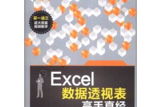 《Excel数据透视表高手真经》免费下载