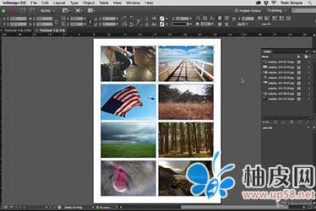 完全掌握InDesign CC