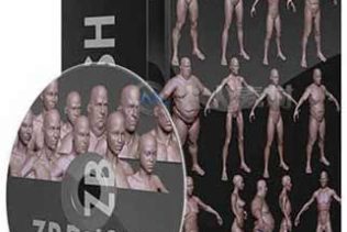 超精细Zbrush人物角色3D模型