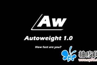 3DS MAX 蒙皮自动权重脚本插件 Autoweight – Automatic skinning tool for Max 2009 – 2016 附使用教程