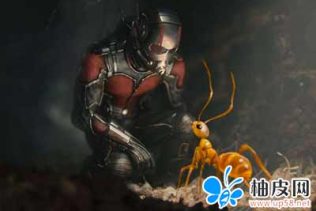 Maya Vray渲染器 V-Ray 3.40.05 For Maya 2016 Win破解版