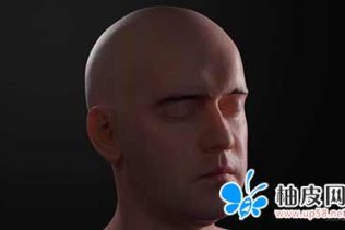 vray for 3dsmax创建逼真的人类肌肤材质效果