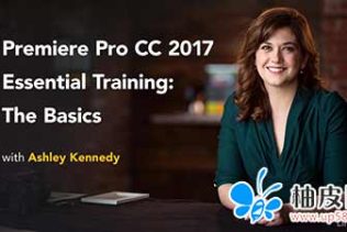 琳达-Premiere Pro CC 2017基础训练视频基础，附练习文件