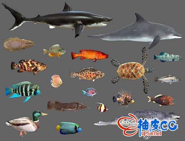 鱼类多边形3D低模模型合集Cubebrush Low poly Fish Collection Animated Pack 2