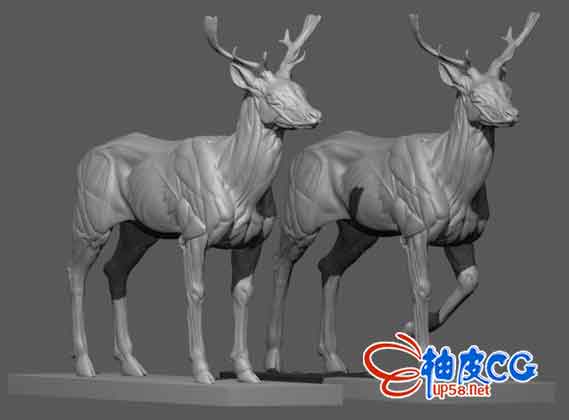 美索不达米亚休闲鹿生态解剖多格式3d雕塑 柚皮cg资源网站