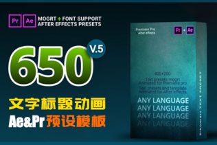 AE Pr模板预设 650个文字标题字幕动画样式效果