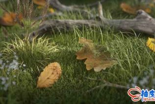 62个OC叶子材质预设 + 248个4K纹理 Gumroad - Leaves Shaders Pack #1 for C4D