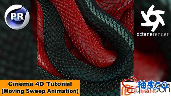 C4D + OC创建蛇体运动动画视频教程MOVING SWEEP ANIMATION