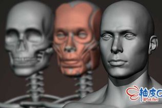 Blender全程雕刻解剖男性人物角色视频教程