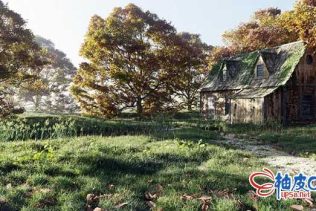 Blender创建高质量真实环境场景全流程视频教程