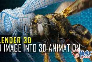 Blender从2D到3D建模绑定动画输出全流程视频教程