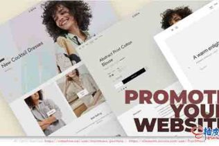 AE模板 智能展示网站宣传演示视频Smart Promotion Your Website