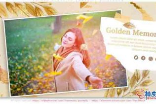 AE模板 浪漫金色怀旧爱情故事周年纪念视频开场纪录片 Golden Memories Romantic Slideshow