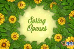 AE模板 春夏季活动开幕式邀请函片头开场视频 Spring Opener