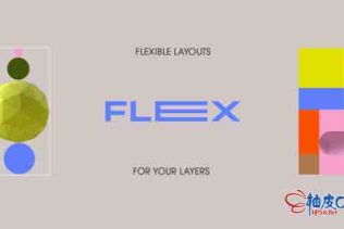 AE脚本-图层动态对齐布局工具 Flex v1.1.1+使用教程