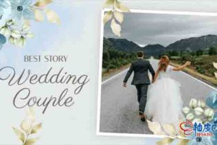 AE模板 浪漫婚礼照片相册展示视频 Romantic Wedding Slideshow