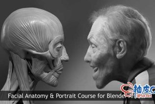 Blender制作艺术家的面部解剖人物肖像逼真角色视频教程