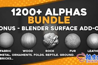 1200+种Blender & ZBrush雕刻3D模型表面 Mega Alphas 捆绑包