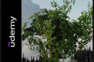 Blender分散插件IA Scatter入门到精通视频教程
