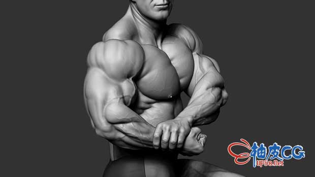 ZBrush健美运动员解剖高级视频教程