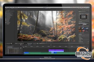 Adobe Dreamweaver创建专业网站技术从基础到高阶视频教程(中文字幕)