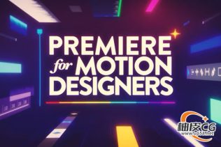 Premiere Pro 视频编辑技能大师班视频教程(中文字幕)