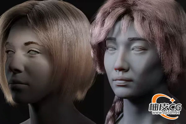 Blender创建电影游戏动画级真实感毛发皮毛视频教程(中文字幕)