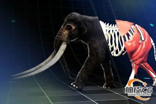Maya创建3D生物及绑定动画特效技术全流程视频教程(中文字幕)