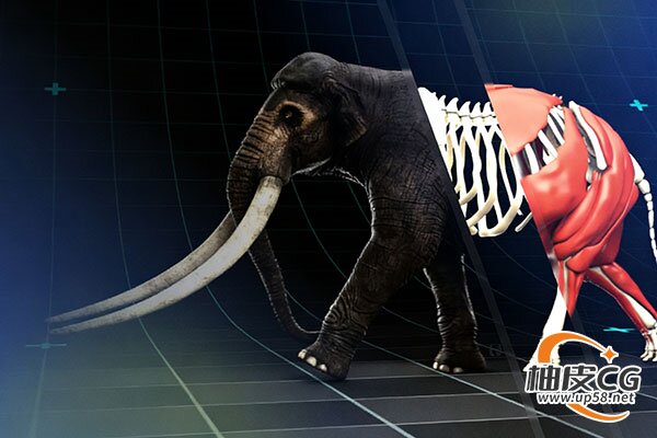 Maya创建3D生物及绑定动画特效技术全流程视频教程(中文字幕)