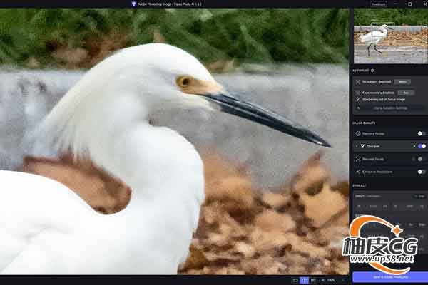 人工智能图像增强软件Topaz Photo Pro 1.3.1 / 1.3.3破解版