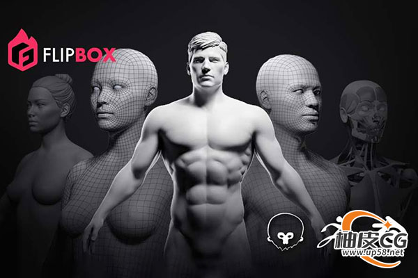 专业级角色Basemesh解剖参考：快速搭建高质量人体模型(附中文字幕教程)