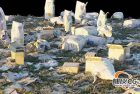20类Blender自然Photoscan草地岩石树木散布工具合集